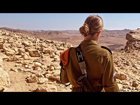 Видео: Ответы на вопросы со стрима и не только