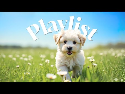 Видео: [𝐏𝐥𝐚𝐲𝐥𝐢𝐬𝐭] Добавил в избранное после первой ноты🌿 | Поп · R&B · Lo-fi Pop 🎧