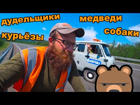 Видео: 🤣Подборка интересных моментов с путешествия Москва Магадан на велосипеде. Поехавший и доехавший 😇