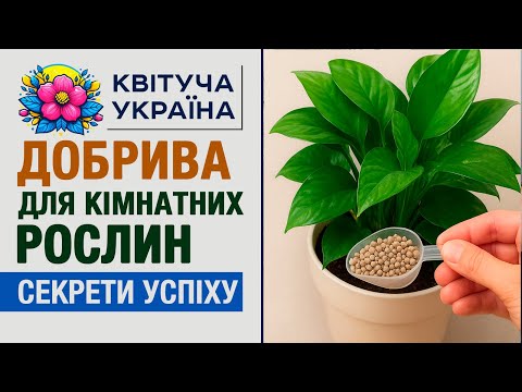 Видео: Добрива для кімнатних рослин 🌿 Головні секрети успіху