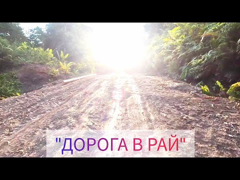 Видео: " ИСПОЛНИВШЕЕСЯ ЖЕЛАНИЕ -  КАК ДРЕВО ЖИЗНИ"   ПРИТЧИ 13:12