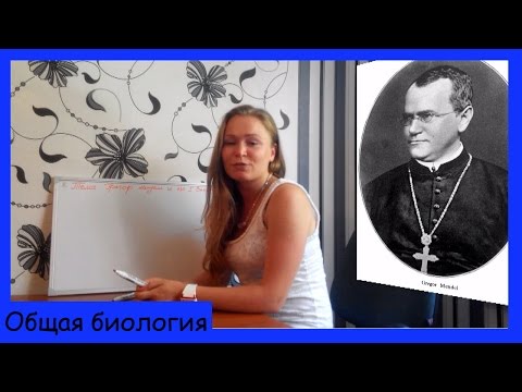 Видео: Грегор Мендель. Первый закон Менделя