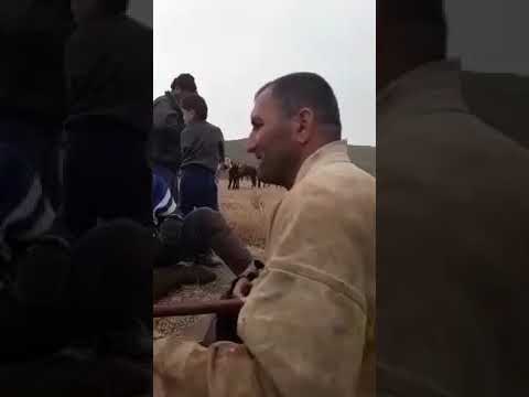 Видео: ТАВИЛДАРА: МИРЗОИ СОКИ, ДАР НОХИЯИ ДАНГАРА (САБТИ ТЕЛЕФОНИ)