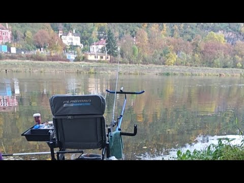 Видео: ловлю окуня на глазах у ошалелых фидеристов