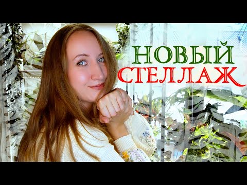 Видео: Новый СТЕЛЛАЖ для растений: переделываю большую зону 💚Часть 1