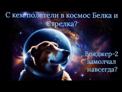 Видео: АСМР | Что случилось с ВОЯДЖЕРОМ-2 | Факты о КОСМОСЕ