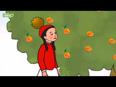 Видео: 1 ден 20 га чейн саноо