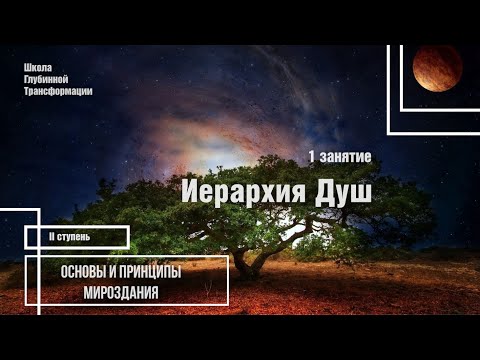 Видео: 2 курс 1 занятие