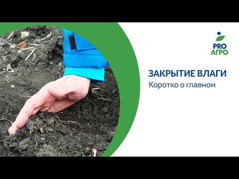 Видео: Закрытие влаги. Коротко о главном.