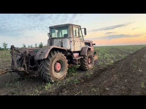 Видео: , Культивация хтз т150