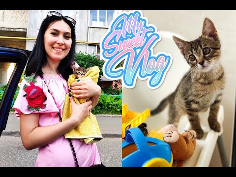 Видео: ВЛОГ: О ТОМ, КАК МЕНЯЛСЯ ТОМ 🤩🐱😍