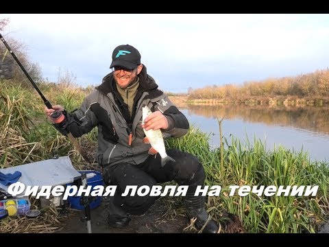 Видео: Фидерная ловля на течении!