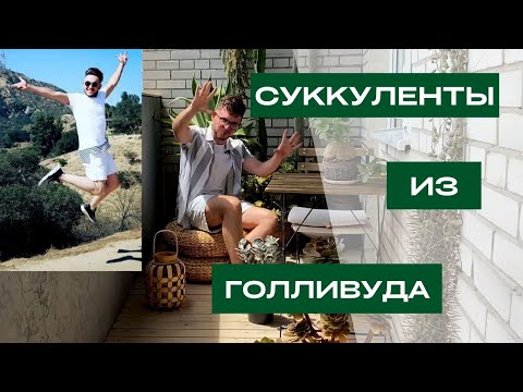 Видео: Как я вёз СУККУЛЕНТЫ из КАЛИФОРНИИ