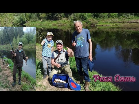 Видео: Замечательная рыбалка и отдых на реке Оять. Красивая природа. Щука, Сырть, Голавль. #рыбалка #реки