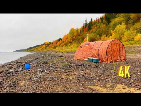 Видео: ГОРБАЧИ ЛЮТУЮТ, НЕ ЖАЛЕЯ СИЛ, ПЕРЕД ЛЕДОСТАВОМ НАБИРАЯ ЖИР!