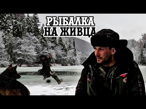 Видео: Горная рыбалка ранней весной, рыбалка со льда, ловля Тайменя и Ленка на Дальнем Востоке.