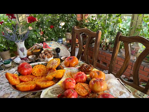 Видео: Томаты которые посажу в этом году . Томаты которые сажаю из года в год