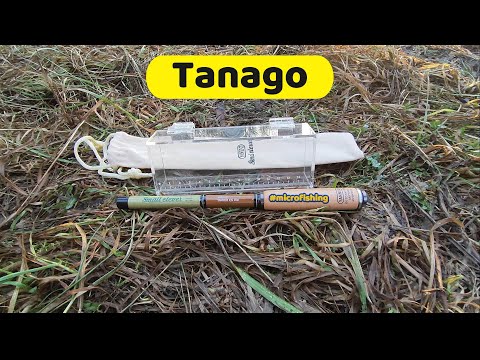 Видео: #microfishing | Ловля в стиле Tanago |
