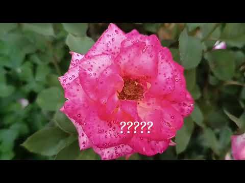 Видео: Друга хвиля 2023 Ч. 1@TroyandiOleksandri