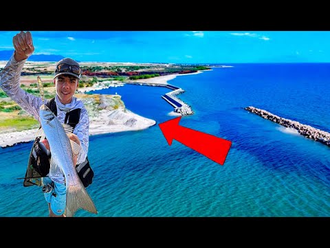 Видео: СПУКАХМЕ ГУМА на пътя! Риболов на ЛАВРАК и КОКАЛИ в Гърция!