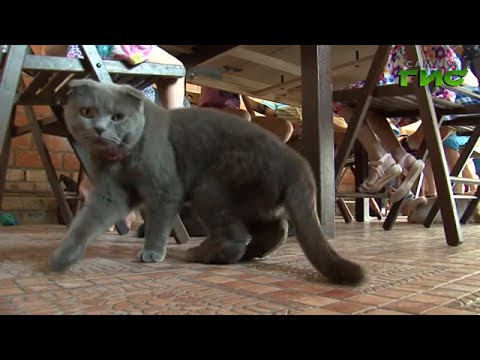 Видео: "Право на маму" (195)