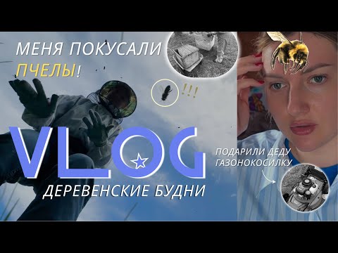 Видео: МЕНЯ ПОКУСАЛИ ПЧЁЛЫ! | Как собирают мёд? | будни в деревне #линавлог3