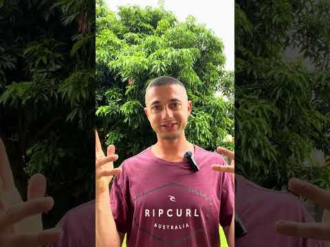 Видео: Конец