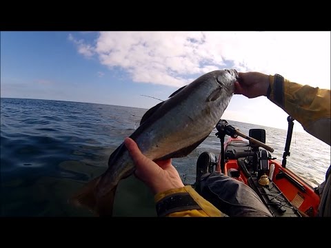 Видео: Рыбалка с каяка – ловля минтая на приманку на большом рифе – поиск рыбы