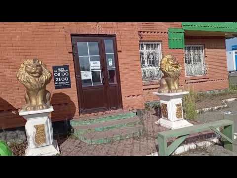 Видео: Горбуново ( Усть-Коксинский район, р. Алтай)-Новосибирск, день четвертый!