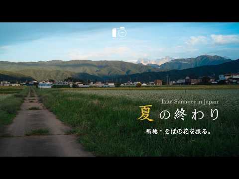 Видео: Ностальгия по концу лета: сельские пейзажи, окрашенные утренней росой и закатом