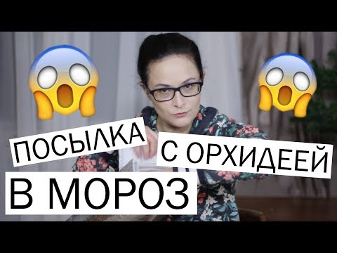 Видео: Получила посылку с орхидеей в мороз -10! Распаковка-упаковка орхидей в холодное время года. Вып. 4