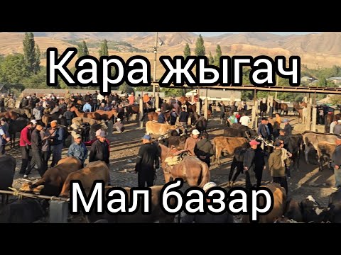 Видео: Бүгүн 4 сентябр 2025 Кара жыгач жылкы мал базар #атбазар #жылкыбазар #лошадки #арабскиелошади 