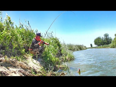 Видео: ЗАБРАЛСЯ В САМЫЕ ДИКИЕ МЕСТА!!! САЗАНЫ И СУДАКИ НА КАЖДОМ ЗАБРОСЕ! Рыбалка на донки и спиннинг.