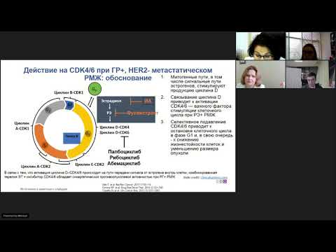 Видео: Показатель общей выживаемости у HR+HER2- рРМЖ в жизни врача и пациента. Разбор клинических случаев