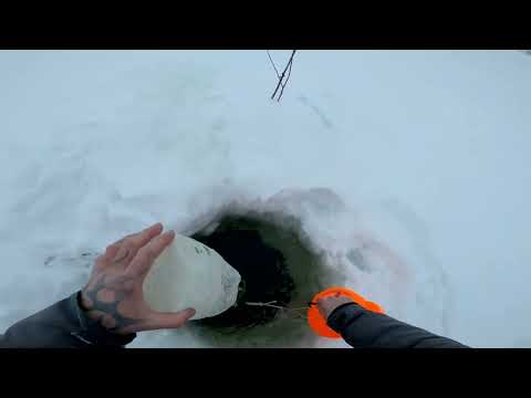 Видео: Рыбалка у чёрной дыры. Ловля налима. Серия сорок первая.