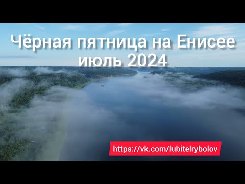 Видео: ЧЁРНАЯ ПЯТНИЦА НА ЕНИСЕЕ! Ловим крупного хариуса в пятницу, что творит чёрная муха 🎣
