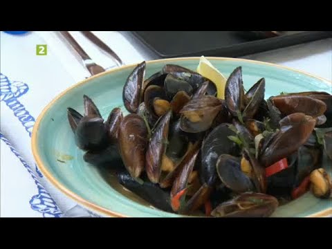 Видео: На лов за миди край Каварна, "№ 1-Туризмът" - 12.11.2023