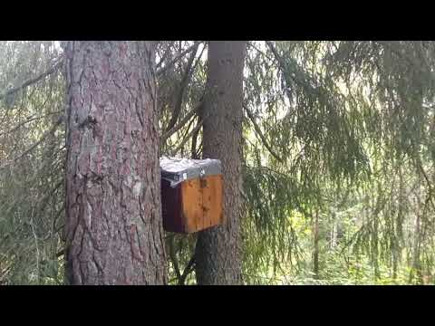 Видео: ШОК! Не ожидал поймать столько!