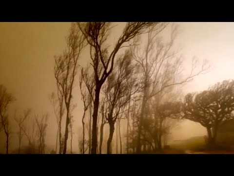 Видео: Моя новая любовь🥰