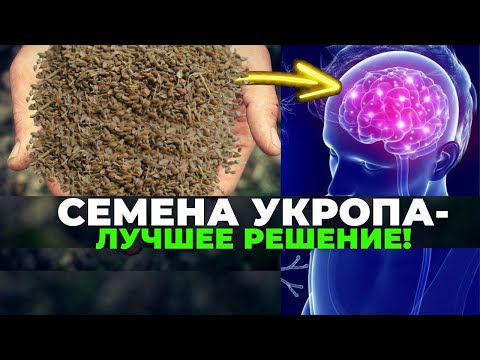 Видео: ПОЛЬЗА и ВРЕД семян укропа. Как приготовить отвар, снимающий любую боль?