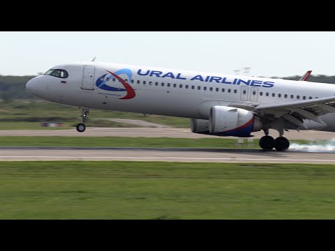 Видео: Самолеты Airbus Neo в аэропорту Домодедово, 16.08.25.