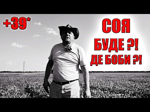 Видео: СОЯ В СПЕКУ - ЧОГО ОЧІКУВАТИ ? ПРОГНОЗИ ЗБУВАЮТЬСЯ !!!