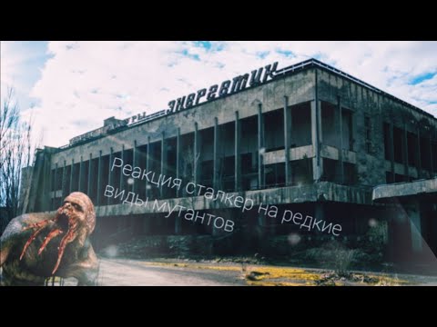 Видео: Реакция сталкер на редких мутантов гача лайф
