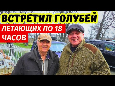 Видео: ЯРМАРКА ГОЛУБЕЙ Обзор г.Павлоград 22.03.2025 Цены💲 Продажа📞 Голуби ▶ 1-я часть