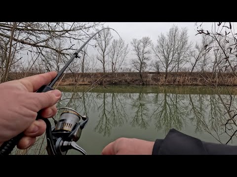 Видео: "Собирательная" рыбалка!