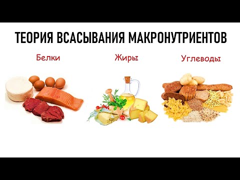 Видео: ТЕОРИЯ ВСАСЫВАНИЯ МАКРОНУТРИЕНТОВ