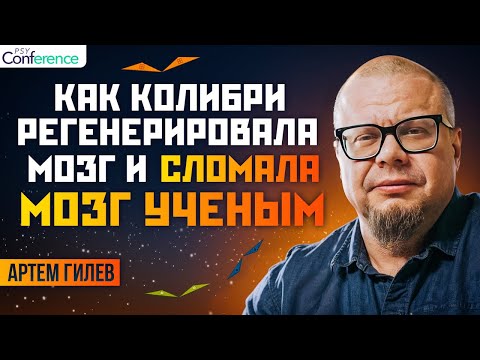 Видео: Нейрогенез у человека.  Что влияет на нейропластичность. Возможно ли в зрелом возрасте. Артём Гилев