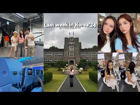 Видео: Последняя неделя в Корее в 2024 году: много еды, слез, korean food, Seoul