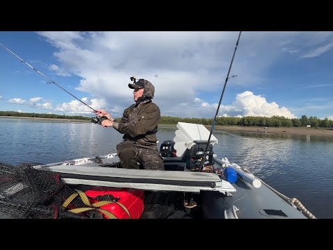 Видео: Рыбалка с ночёвкой в красивом месте. Ловля хищника с лодки 2025. #рыбалка #спиннинг #река #хищник