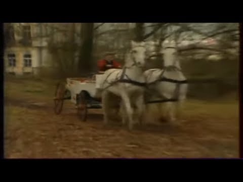 Видео: Петергофская дорога -2